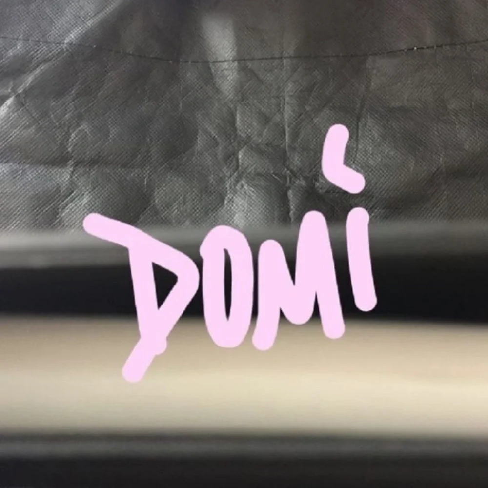 x1 MAC MAKEUP ARTIST FACE CHART LOOK VINTAGE BOOK WITH CLEAR BLANK INSERTS